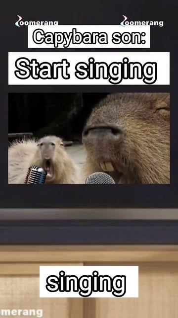 Capybara in the supermarket!?🤍 смотреть онлайн