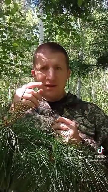 Отгорел и отлюбил.. Я в этот мир пришёл один и в одного его покину.. #поэтивансоколов #тайга #лес смотреть онлайн