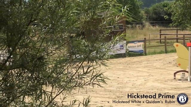 Hickstead Prime - Wallach - 2017 geboren (Hickstead White x Quidam's Rubin) смотреть онлайн