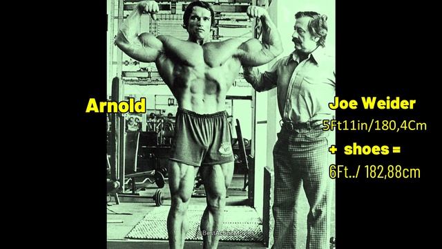 Arnold Schwarzenegger's REAL Height - Cuanto Mide Arnold Schwarzenegger -How Tall Is Arnold
