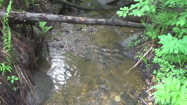 Ручей старого прииска