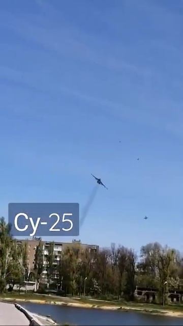 Много Грачей не бывает смотреть онлайн