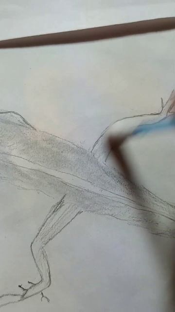 Lizard Drawing 🦎🦎/Pencil Shade ✏️ #shorts смотреть онлайн