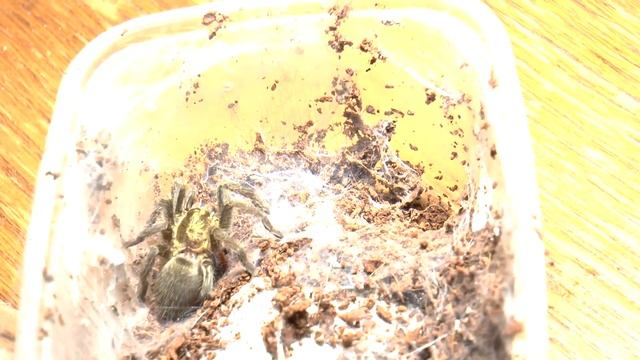 Feeding Time 4 - Part two смотреть онлайн