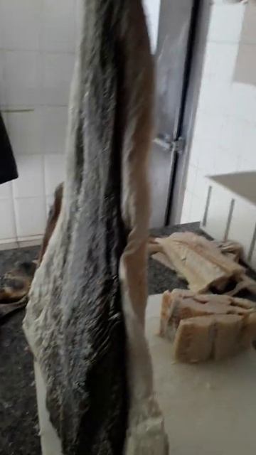 bacalhau lombo смотреть онлайн
