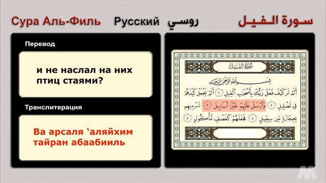Сура Аль-Филь روسي سورة الفيل смотреть онлайн