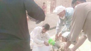Enema in Animals | Enema Treatment | Latest Video | 2019 | जानवरों में एनीमा | एनीमा उपचार | 2019