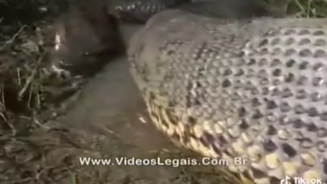 18 марта 2022 г. смотреть онлайн