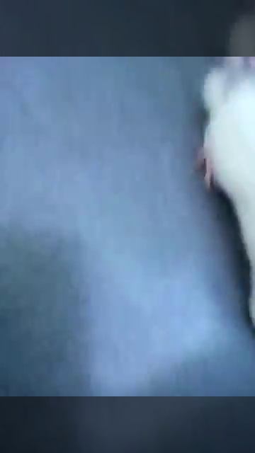 Падение крысы смотреть онлайн