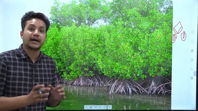 Current Affairs | PSSSB, PPSC & Punjab Police | 18th June 2024 | Davinder Sir | Success Tree Punjab смотреть онлайн