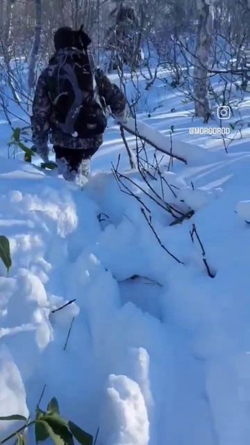 Сахалин -когда не взял снегоступы #shorts #сахалин #природа