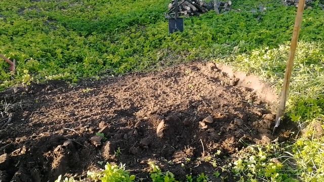 17 мая 2024 г. Привезли профлист. Вскопали грядку. Вывели воду. Работаем))) Весна!!!!! смотреть онлайн