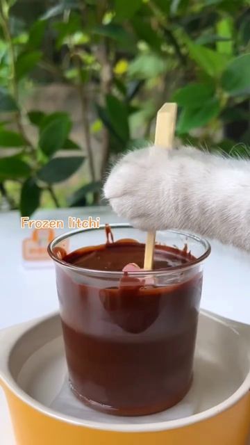 Which Is Your Favorite Way To Eat Lychees😸 - Cute Cat Cooking Show - Homemade Dessert Recipe#Shorts смотреть онлайн