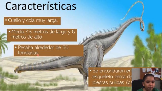Seismosaurus  Full Expo