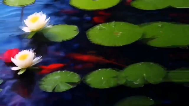 Спокойная акапельная мелодия на блок-флейте в восточном стиле смотреть онлайн