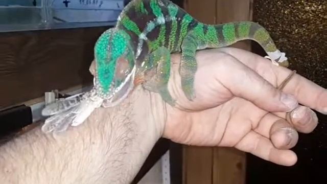 F p смотреть онлайн