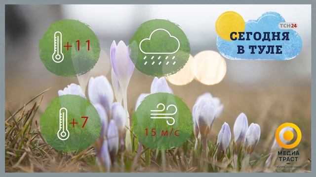 Погода в Тульской области на 18 мая 2020 года смотреть онлайн