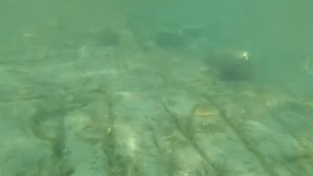 Подводная съемка на мобилу смотреть онлайн