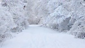 МАМОНТЫ МЧАТСЯ НА ПРОЛОМ