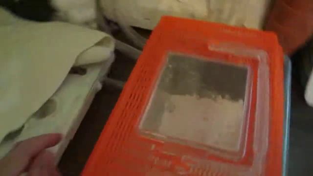 Homemade Ant Formicarium смотреть онлайн