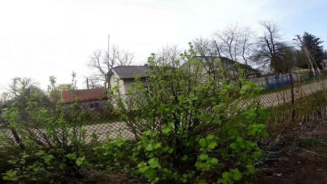 СКІЛЬКИ ДОБРИВА МАСТЕР 20 20 20 ПІШЛО НА 240 КУЩИКІВ ПОЛУНІЦІ#мастер202020#полуниця #клубніка смотреть онлайн