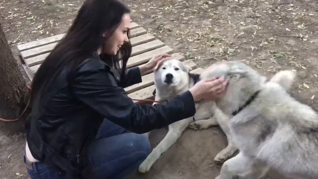 Туси на Руси/ Воздвиженское/ Стас упал с гамака/ День России/ Собачьи слюни/кавер-группа QUEENS’BAN смотреть онлайн