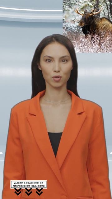 Житель Башкирии за отстрел лося без лицензии пойдет под суд #shorts смотреть онлайн