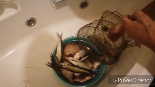 Ого рыба класс !!!!