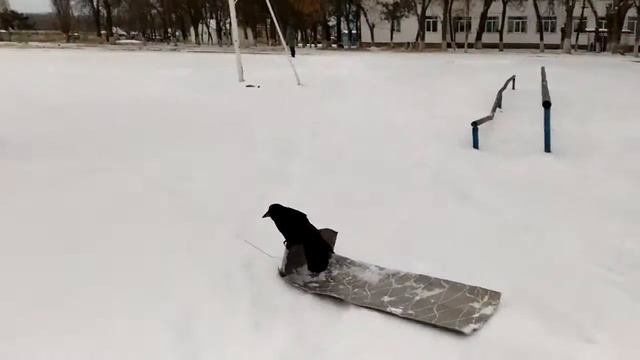 Ворон мэснык смотреть онлайн