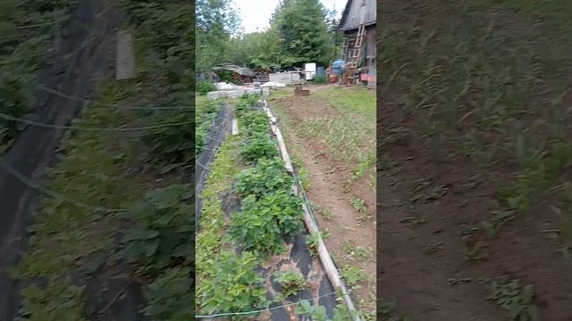 продаю сад г кирово чепецк снт Агат смотреть онлайн