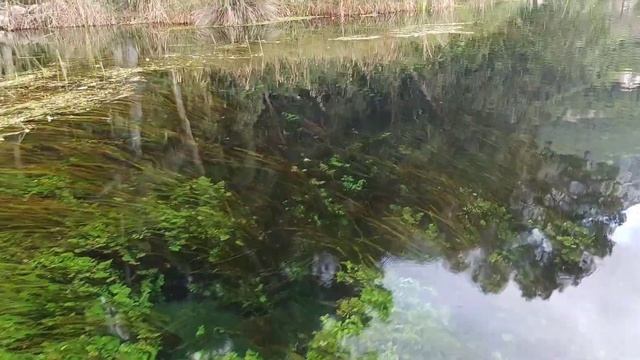 Река Акьяка Тюркие (50 оттенков зелени и природной жизни) смотреть онлайн