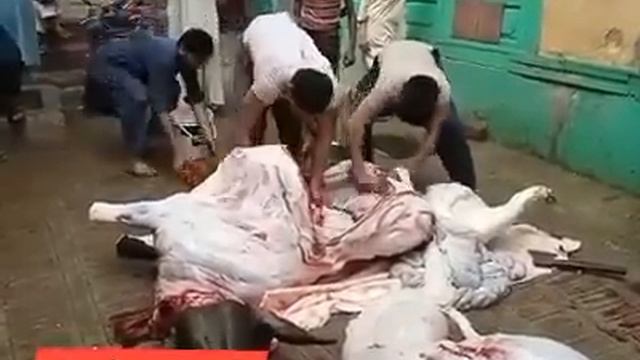 Professional Pakistan Butcher