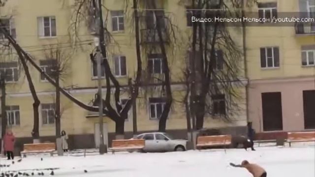 Прохожий спас тонущую  собаку