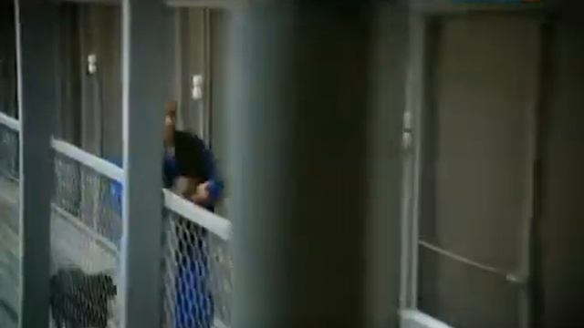 Кинологи Суперсобаки смотреть онлайн