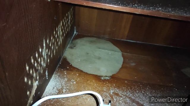 Чистим и улучшаем террариум у змеи смотреть онлайн