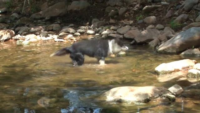 Tara's Babies for Website2 смотреть онлайн