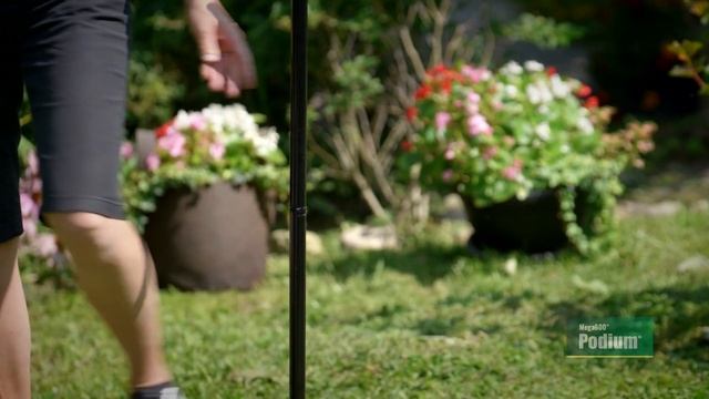 Mega 600 Podium - Setup