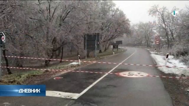 Fruška gora: Zaleđeno stablo palo na vozilo, povređena žena смотреть онлайн