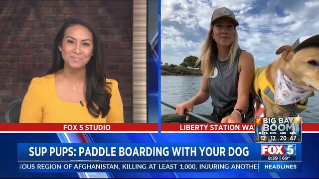 Sup Pups: Paddle Boarding With Your Dog смотреть онлайн