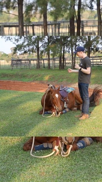 Nearly Ruined My $1000 Saddle 🤦🏼♂️ смотреть онлайн