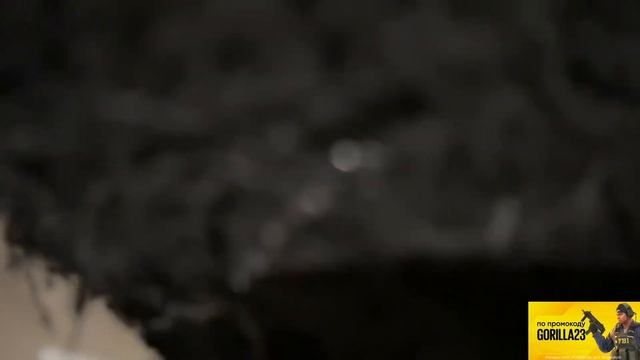 ДАНИЛА ГОРИЛЛА КОКОШКА И РОСТИК УГАРАЮТ В ДУБАЙСКОМ ОТЕЛЕ l НАРЕЗКА смотреть онлайн