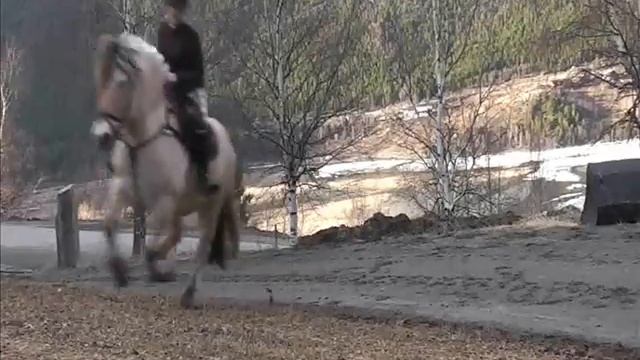 Running ~ Anne-Mari & Stikle Jarl xx [05.05.2011] смотреть онлайн