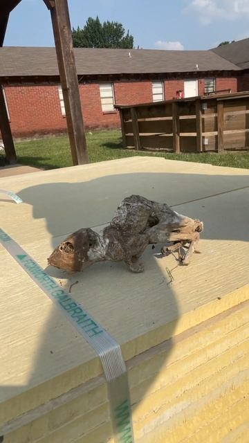 We found something wild at this job! смотреть онлайн