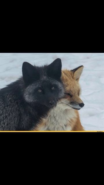 Вслушайся в текст песни и пойми её ❤❤❤❤❤ смотреть онлайн