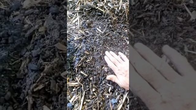Biochar Soil DIY