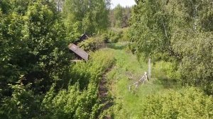 ЗАБРОШЕННАЯ ДЕРЕВНЯ В ЛЕСУ. В ШОКЕ ОТ УВИДЕННОГО! Они жили в красивейшем месте! Пензенская область.