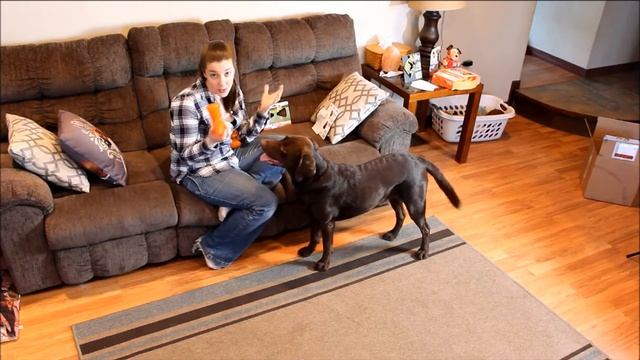 Outward Hound Dog Toys Review смотреть онлайн