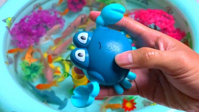 Cute Animals, Goldfish, Koi, Carp, Snake, Starfish, Crocodile, Whale, Shark, Duck, Crab, Turtle