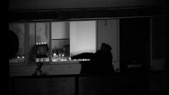 Paul McCartney - Beautiful Night