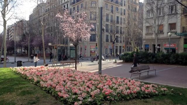 Winter and sunny spring in Spain смотреть онлайн